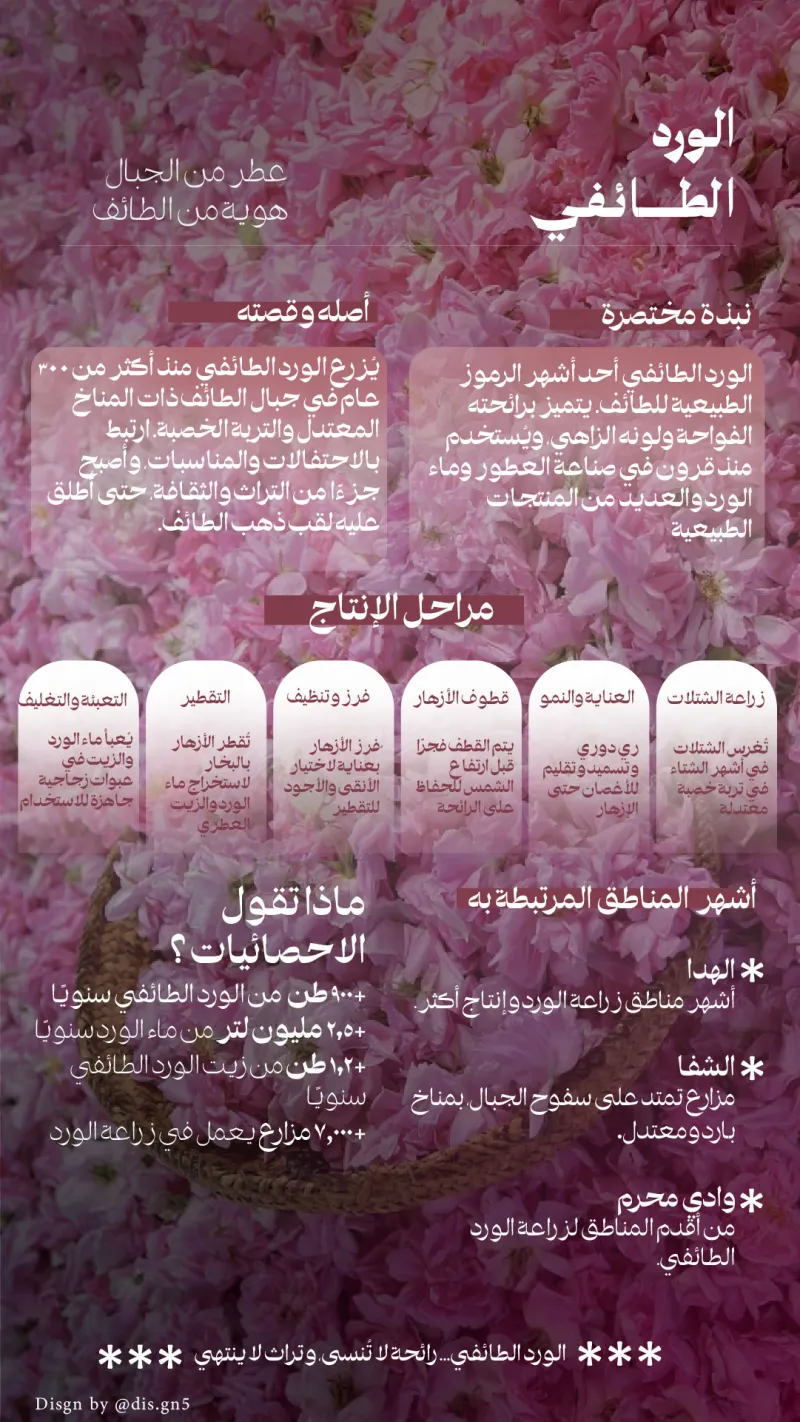 انفوجرافيك لفعالية الورد الطائفي
