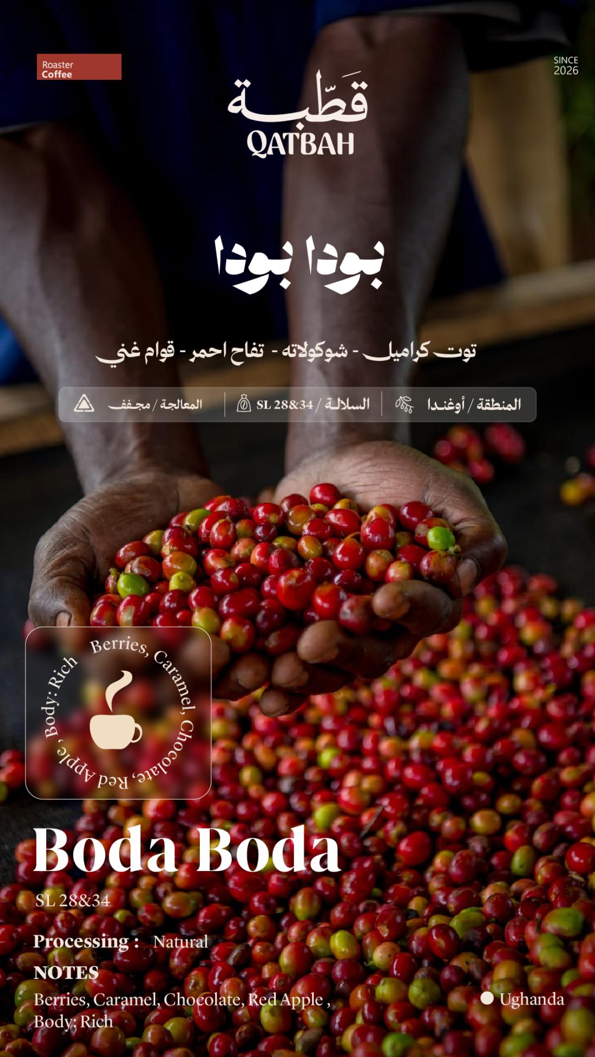 QATBAH ROASTER