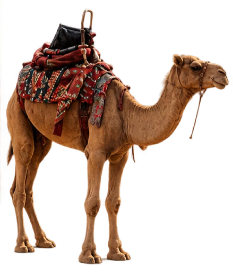 دمج
